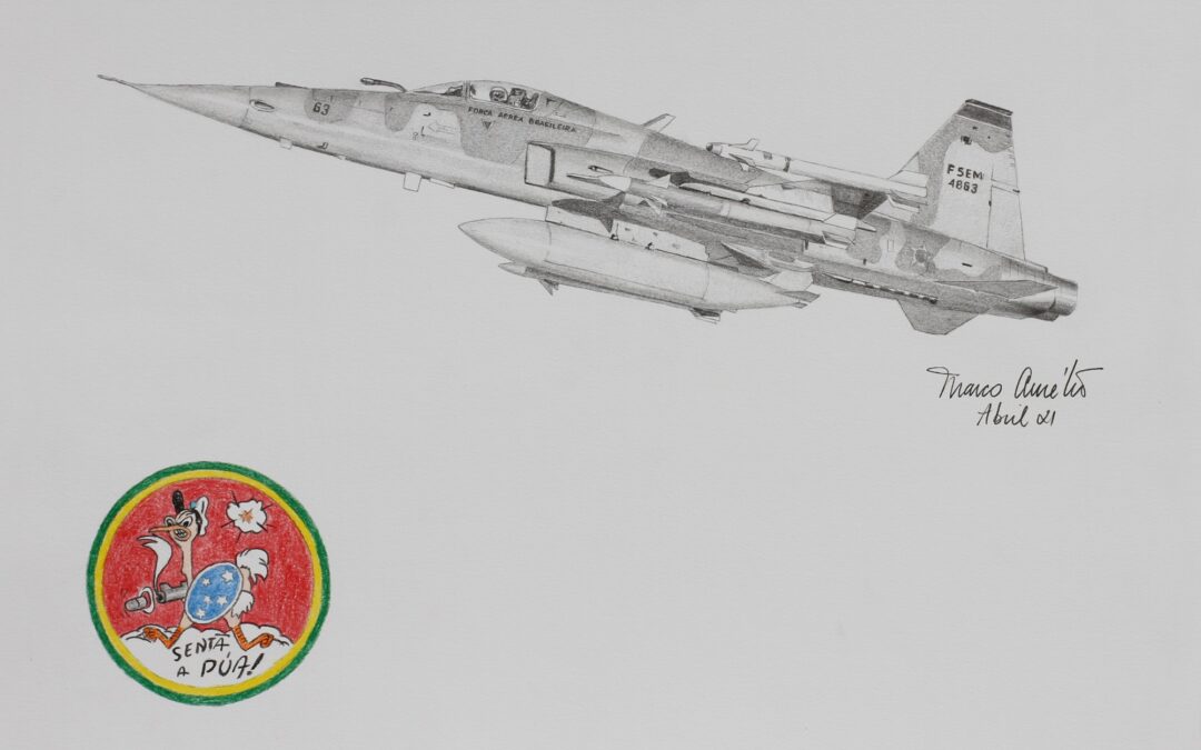 17 – NORTHROP F-5EM